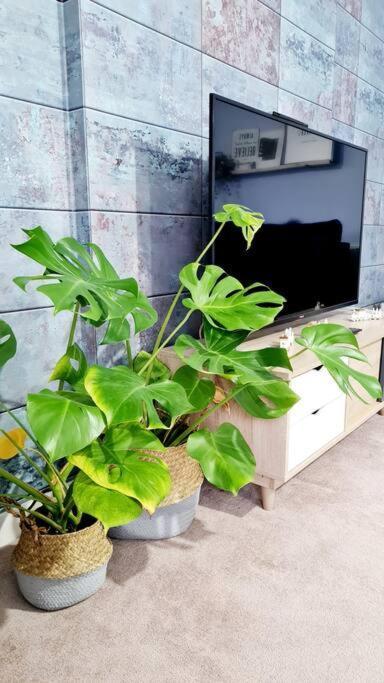 Stylish 2 Bedroom Apartment / Free Gated Parking Glasgow Eksteriør bilde